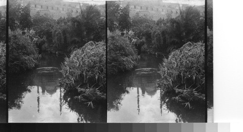 The pool in Midan Salah en-din, minarets of Muhammed Ali. Cairo