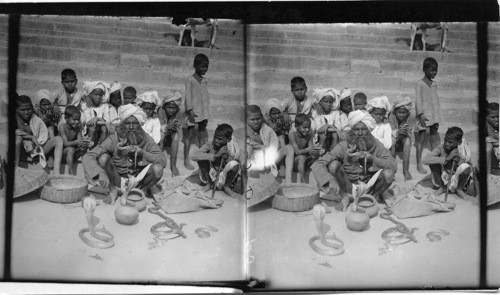 Snake Charmers, Benares, India