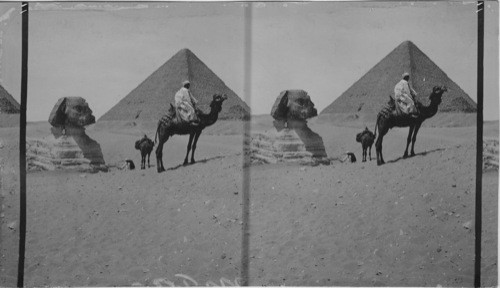 The sphinx, Gizeh, Egypt, (Cairo)