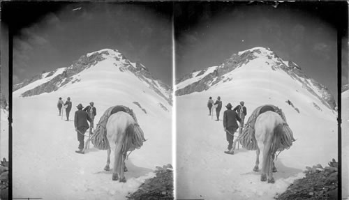 Ascending Mount Hood, Ore