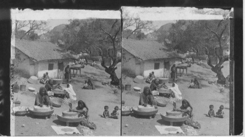 “Primitive Native Life of India” - View E. up women grinding at the Mills, Mts. Abu. India