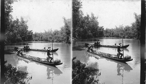 View on Imus River, showing outrigger laden with coconuts. P.I