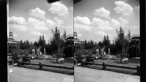 A Garden Rhapsody, Horticulture Exhibit, A Century of Progress, Chicago, Ill