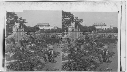 The Begam’s rose garden, Bhopal, India, Charming pleasure ground of an oriental potenlate