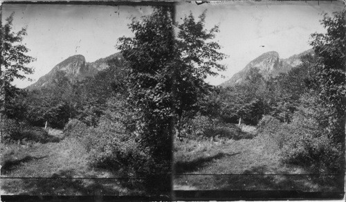 View in Franconia Notch, N. H