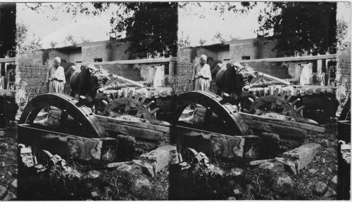 The Irrigation wheel, Cairo, Egypt