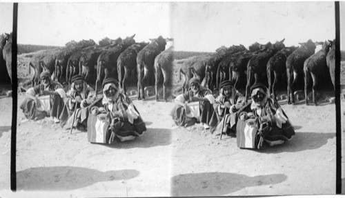 Arab Donkey Drivers. Mesopotamia