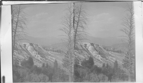 Jupiter Terrace - Supremely Wonderful in Colors and Beautiful Sculptures. Mammoth Hot Springs. Obsolete?