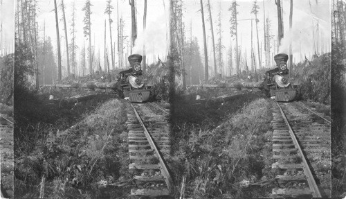 Train of logs, Washington