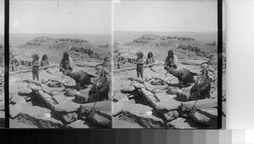 Indians and Golden or Mountain Eagles. Arizona