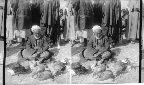 Poultry Market. Mosuls, Mesopotamia