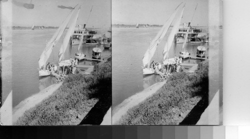 Boats on the Nile, Egypt