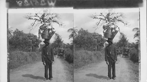 A Jamaica tin peddler. Jamaica