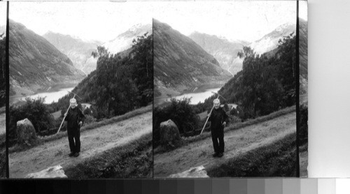 When the day's work is done. A peasant returning from the hay fields above Merok. Norway