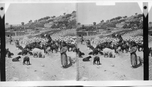 Village of Debarieh - the Biblical Daherath - on slope of Mt. Tabor, Palestine