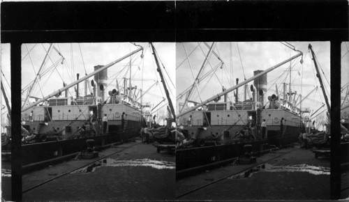 Unloading Coffee from Brazil - River Docks [at the] foot of Canal Street, New Orleans, La