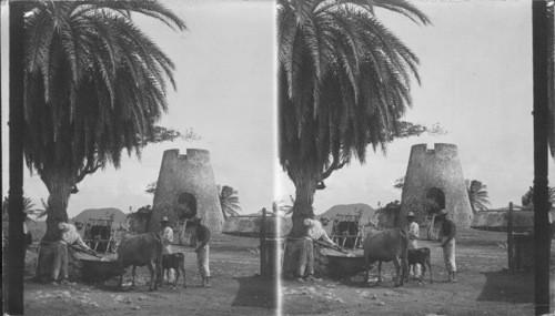 An Old Windmill Tower of the 18th Century. St. Kitts