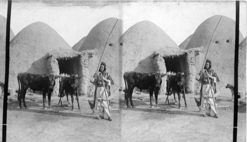 Houses in Babylonia, Irak