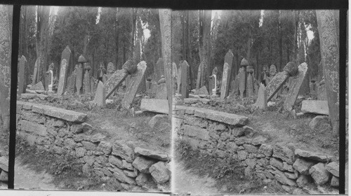 In the Great Turkish Cemetery at Scutari. on the Asiatic Shore. Constantinople. Turkey