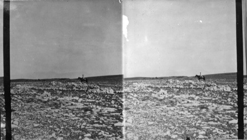 The Medicine Wheel on Medicine Mt