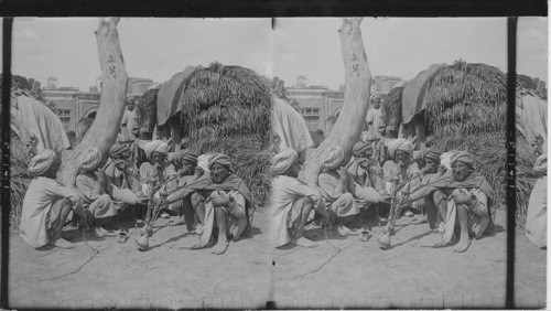 Enjoying their hookahs, - Sikh forage dealers in the Grassmarket of Amritsar, India