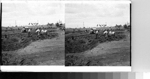 British West Indies - Island of Trinidad - Pitch Lake - digging out pitch from the famous lake in the southern part of the island. Beyond are the wells of the oil fields which extend out over a large area, and to the right is the processing plant for the pitch