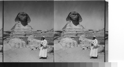 The Sphinx after the completion of the third clearing of the sand & debris from around the base. Giza, Egypt