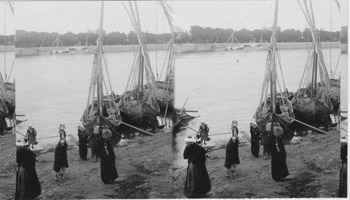 Boats along the Nile. Egypt