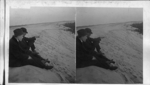 Sand Dunes. Virginia