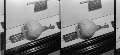 Gourd rattle, Field Museum, Chicago, Ill