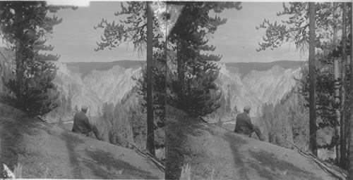 Overlooking the gigantic cliff of the canyon. Yellowstone Park