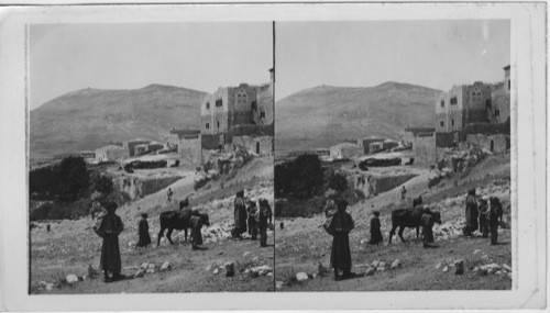 The Vilalge of Sychar and Mt. Gerizin. Palestine