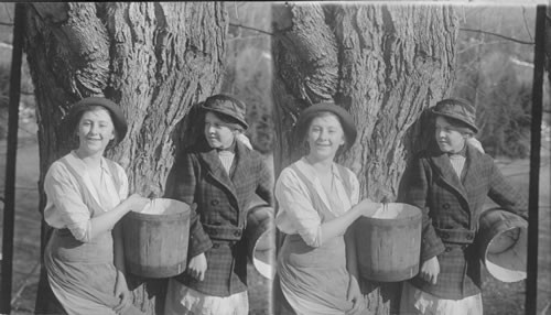 After a good sap run - gathering the sap. Vermont