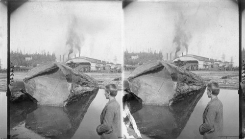 Port Blakely Mills, Largest in World. Near Seattle, Puget Sound, Wash