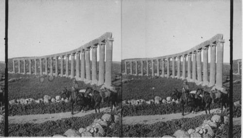 Columns of Forum. Jerash, Palestine