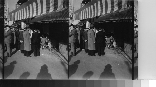 Natives and Tourists, Japan