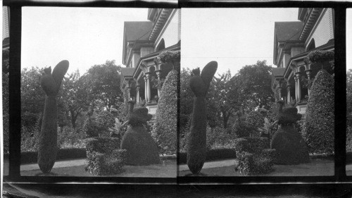 Topiary Garden. Pendray's Gardens, Victoria, B.C