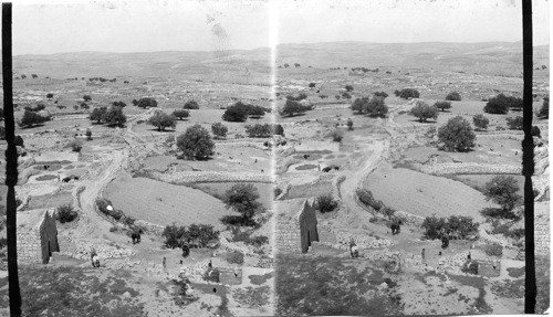 From Mizpah East, Palestine