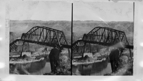 G.N.R.R. Bridge Across Columbia River, Near Rock Island, Washington