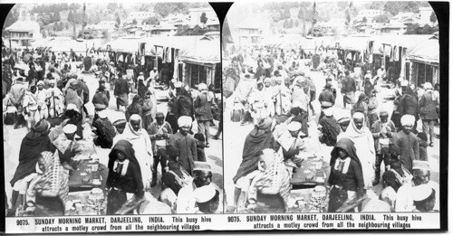 Inscribed in recto: 9075. SUNDAY MORNING MARKET, DARJEELING, INDIA. This busy hive attracts a motley crowd from all the neighbouring villages