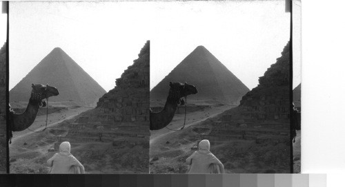 Early morning at Gizeh from the 2nd [Khefren] to the 1st Pyramid [Cheops]. Giza, Egypt