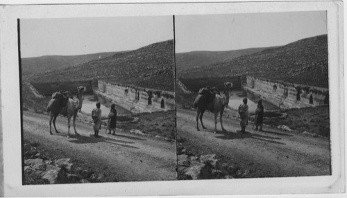 The Finest of Solomon’s Pools near Jerusalem, Palestine