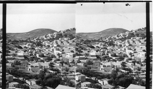 Safed, Palestine