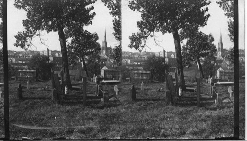 The Old Canterbury Cemetery now used as a city park, looking west. St. John, N.B