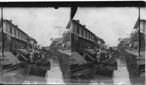 Landing horses and cattle in the canal, Manila, Philippine Islands