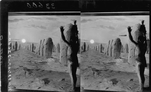Sun worshiper, Field Museum of Natural History, Chicago