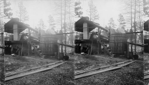 Distilling turpentine from crude resin in the pine forest of North Carolina