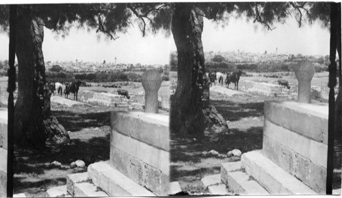 From Moslem Cemetery w. to Lower Ramleh. Palestine, Asia