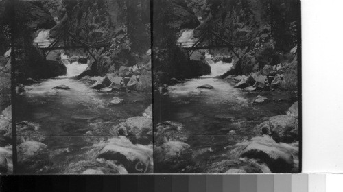 South to bridge and Roaring river, Fresno Co., Calif. Same as # 47496 but with 5 in. lenses- from reading my notes I feel inclined to think that this film was underdeveloped-