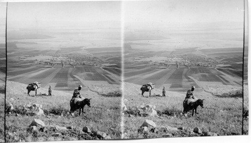 From Hill of Moreh over Shunen and Plain of Esdraelon, Palestine